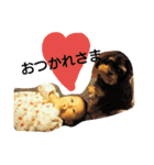 えみり（個別スタンプ：13）