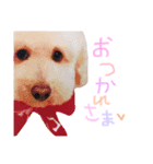 ビンとムー（個別スタンプ：4）