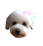 ビンとムー（個別スタンプ：5）