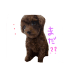 ビンとムー（個別スタンプ：6）