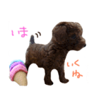 ビンとムー（個別スタンプ：7）