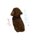 ビンとムー（個別スタンプ：9）