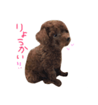 ビンとムー（個別スタンプ：11）