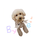ビンとムー（個別スタンプ：12）