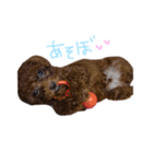 ビンとムー（個別スタンプ：13）