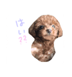 ビンとムー（個別スタンプ：15）