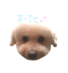 ビンとムー（個別スタンプ：16）