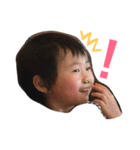 Hakuto Daily（個別スタンプ：8）