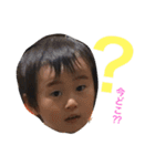 Hakuto Daily（個別スタンプ：17）