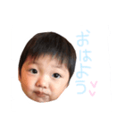 丸がおあおくん（個別スタンプ：1）