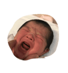 d.sara（個別スタンプ：6）