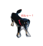 Lack（個別スタンプ：4）