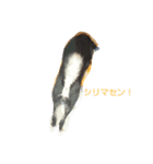 Lack（個別スタンプ：6）