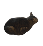 猫のとらじ①（個別スタンプ：7）