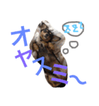 IRIYAfam（個別スタンプ：2）