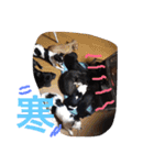 IRIYAfam（個別スタンプ：9）