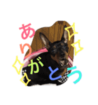 IRIYAfam（個別スタンプ：10）