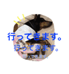 IRIYAfam（個別スタンプ：17）