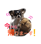 IRIYAfam（個別スタンプ：19）