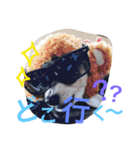 IRIYAfam（個別スタンプ：21）