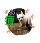 IRIYAfam（個別スタンプ：22）
