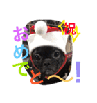 IRIYAfam（個別スタンプ：31）