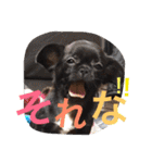 IRIYAfam（個別スタンプ：32）