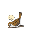 はっぴいちゅんちゅん（個別スタンプ：5）