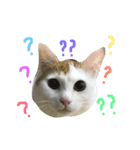 ありんくりんまりんのスタンプ（個別スタンプ：6）