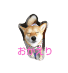大吉スタンプ！！！！！！！（個別スタンプ：3）