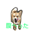 大吉スタンプ！！！！！！！（個別スタンプ：6）