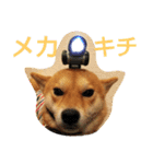 大吉スタンプ！！！！！！！（個別スタンプ：9）