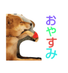 大吉スタンプ！！！！！！！（個別スタンプ：11）