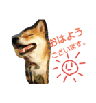大吉スタンプ！！！！！！！（個別スタンプ：13）