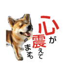 大吉スタンプ！！！！！！！（個別スタンプ：14）