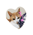 あずちゃまあんでん（個別スタンプ：3）