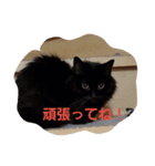 あずちゃまあんでん（個別スタンプ：5）
