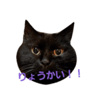 あずちゃまあんでん（個別スタンプ：8）