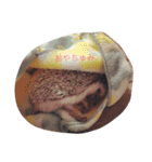 ハリネズミのおはぎと仲間たち（個別スタンプ：6）