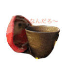 ハリネズミのおはぎと仲間たち（個別スタンプ：8）