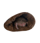 ハリネズミのおはぎと仲間たち（個別スタンプ：9）