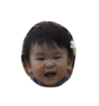 ハリネズミのおはぎと仲間たち（個別スタンプ：30）