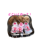 ルナサラホコ 2（個別スタンプ：1）