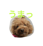 ルナサラホコ 2（個別スタンプ：12）
