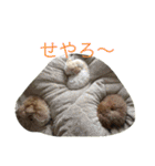 ルナサラホコ 2（個別スタンプ：13）