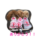 ルナサラホコ 2（個別スタンプ：14）