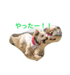 ルナサラホコ 2（個別スタンプ：16）
