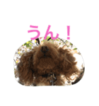 ルナサラホコ 2（個別スタンプ：18）