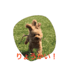 ルナサラホコ 2（個別スタンプ：23）
