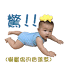 QBabyQ（個別スタンプ：38）